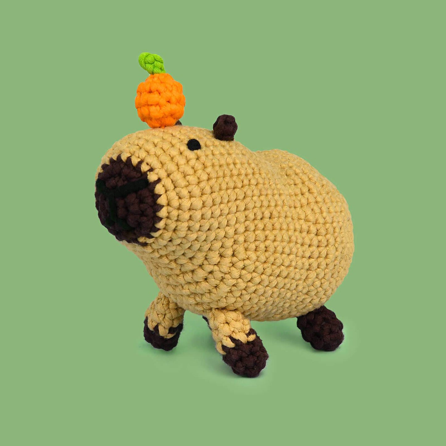 Adorable Capybara Oyen | Beginner Crochet Kit - ICrochetIt