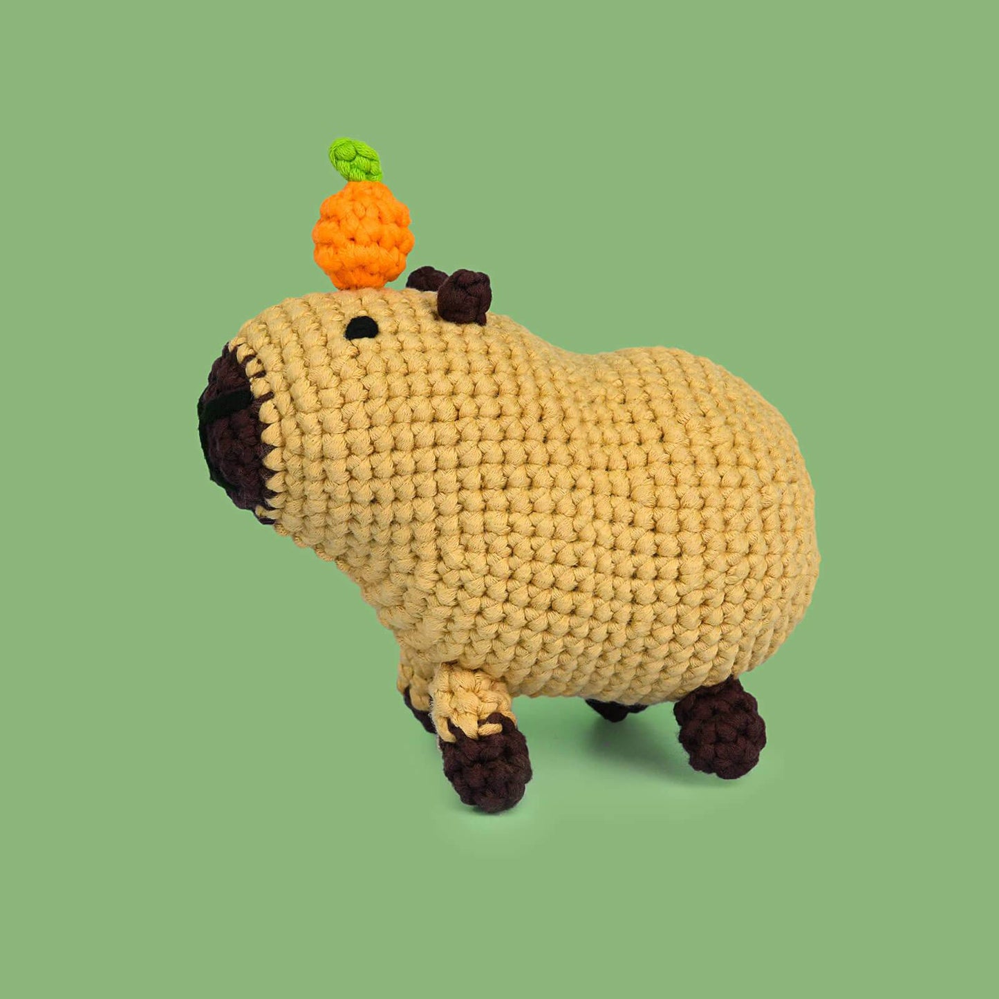 Adorable Capybara Oyen | Beginner Crochet Kit - ICrochetIt