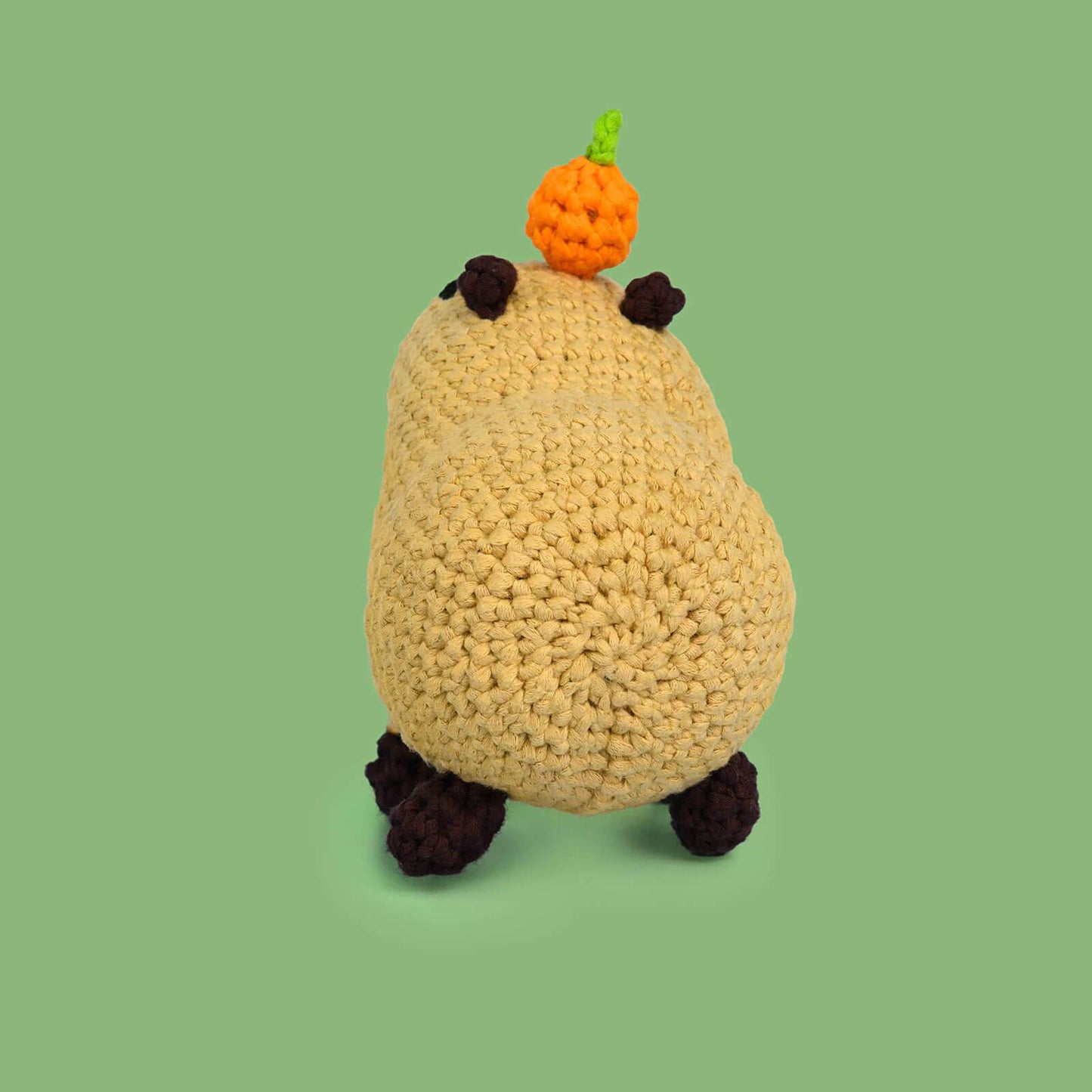 Adorable Capybara Oyen | Beginner Crochet Kit - ICrochetIt