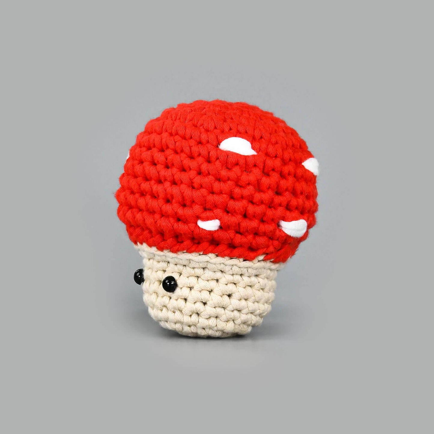 Whimsical Mushroom Dotty Crochet Kit for Beginners - ICrochetIt