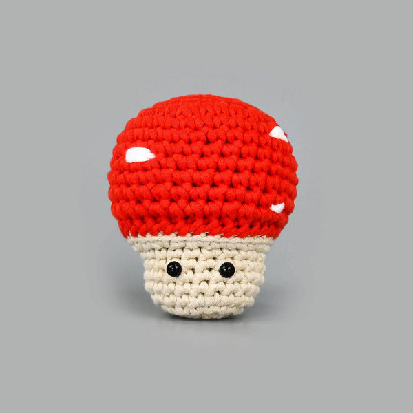 Whimsical Mushroom Dotty Crochet Kit for Beginners