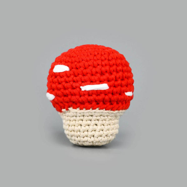 Whimsical Mushroom Dotty Crochet Kit for Beginners